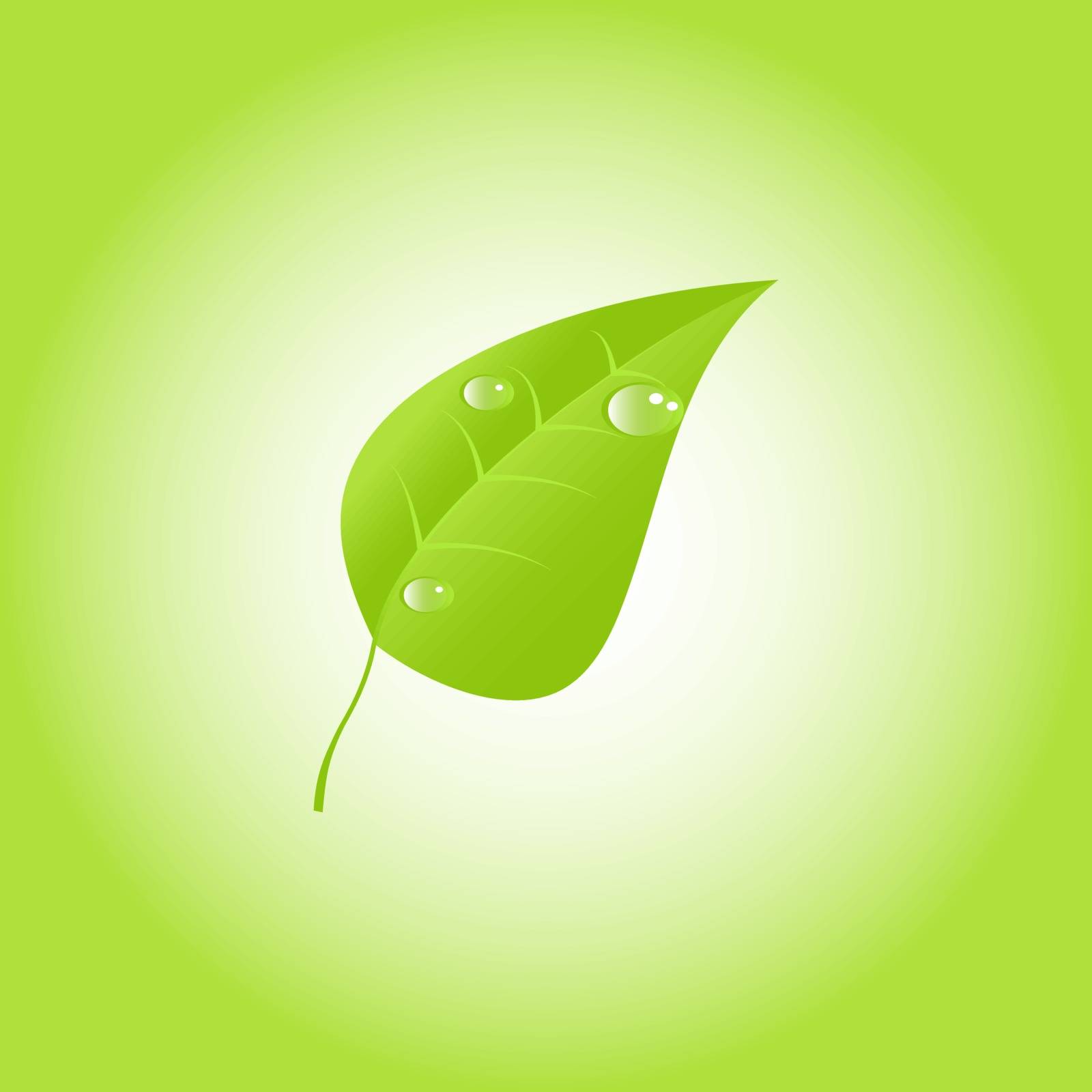 Green leaf wGreen leaf with drops of dew. Vectorith drops of dew. Vector. EPS 10
