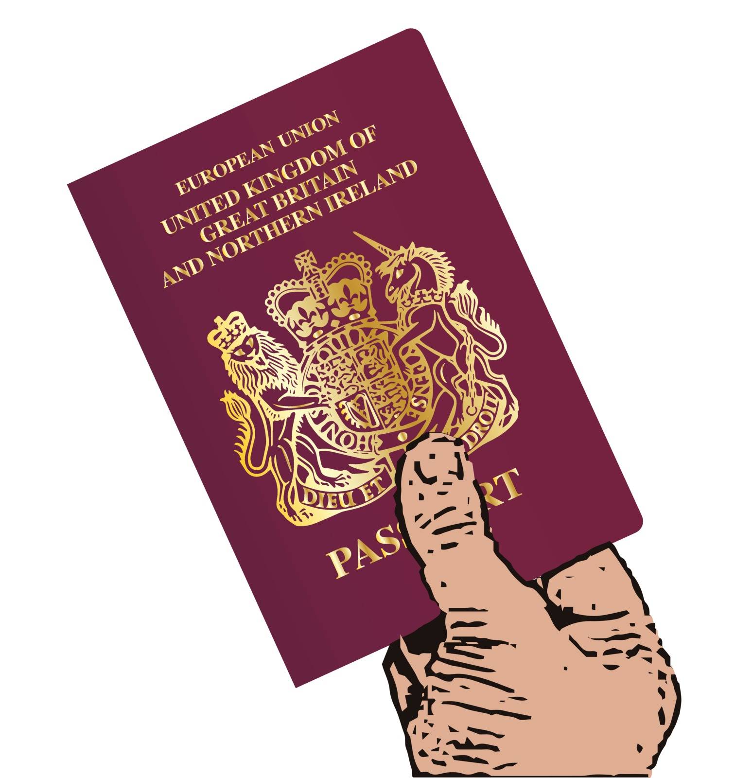 A hand holding a red modern passport over a white background