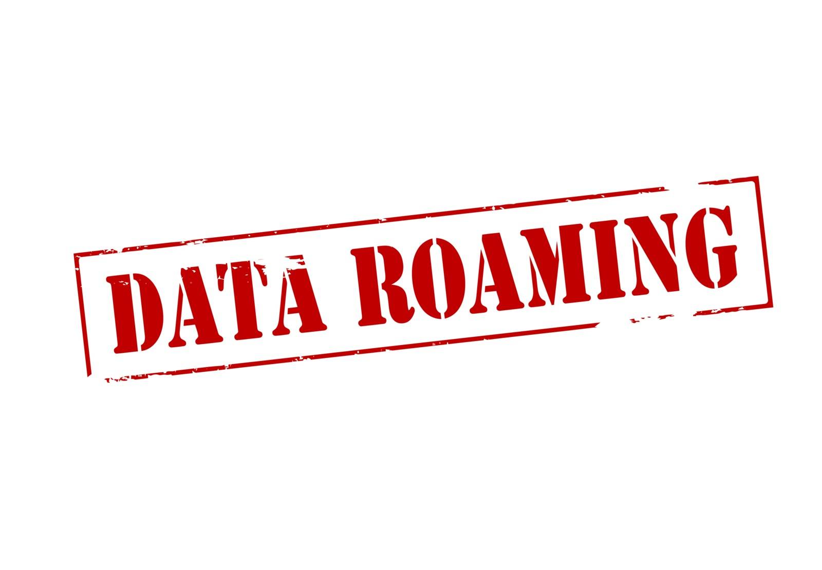 Data roaming by carmenbobo