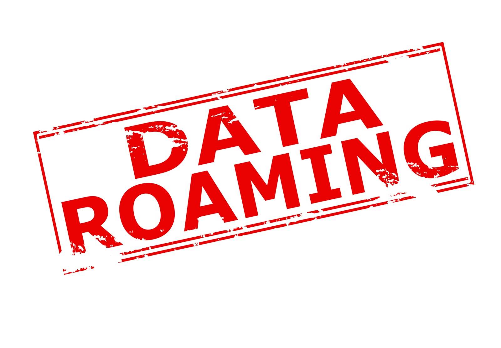 Data roaming by carmenbobo