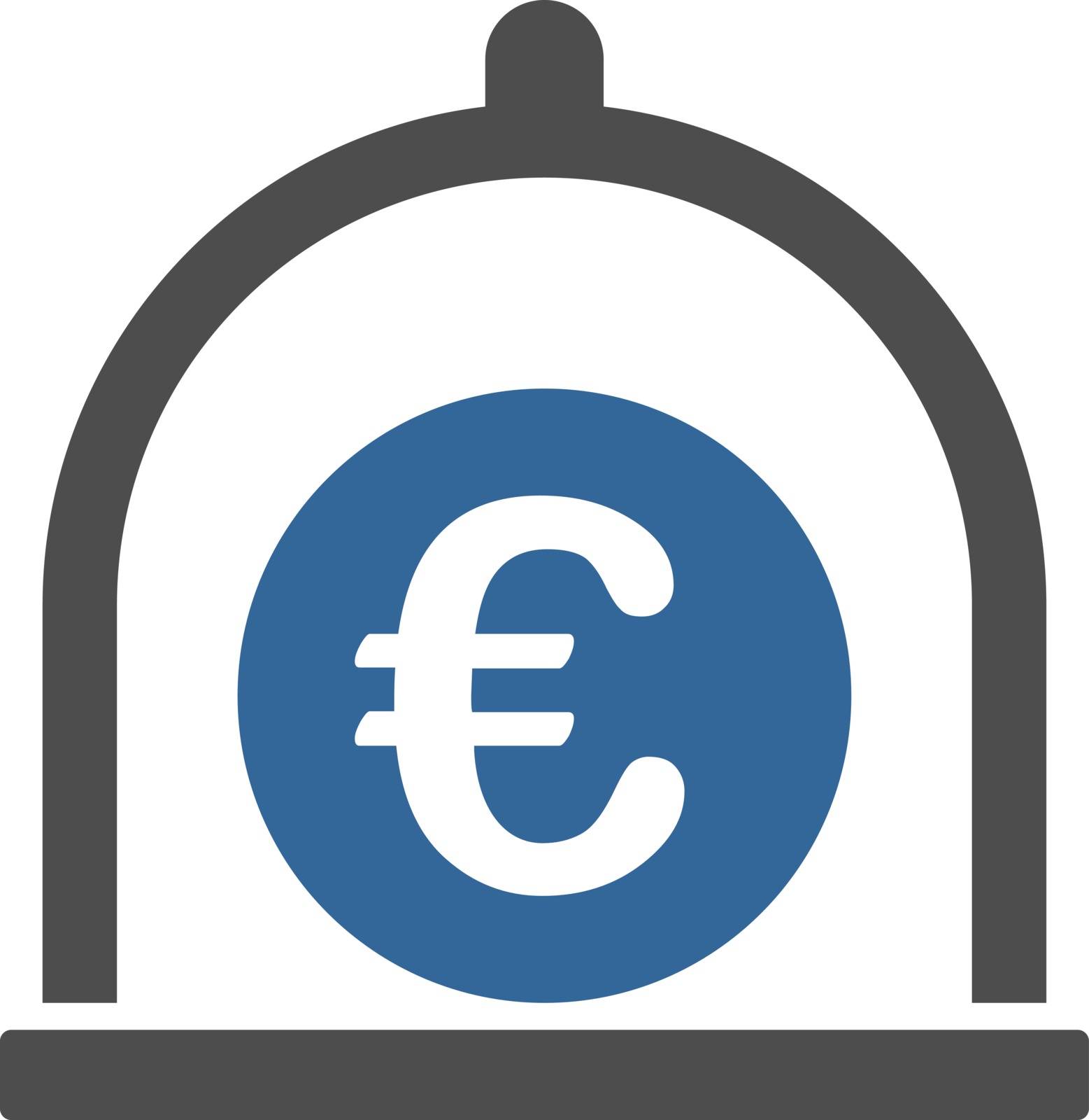 Euro standard icon from Business Bicolor Set. Vector style: flat bicolor symbols, cobalt and gray colors, rounded angles, white background.