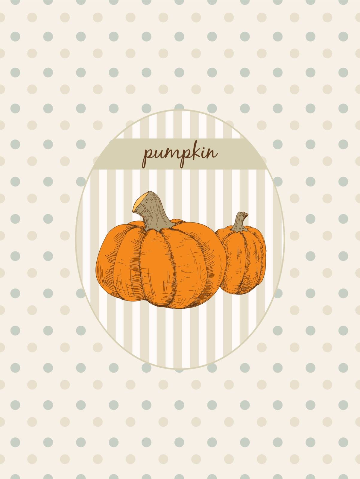 Pumpkin. Hand drawn graphic illustration at medallion