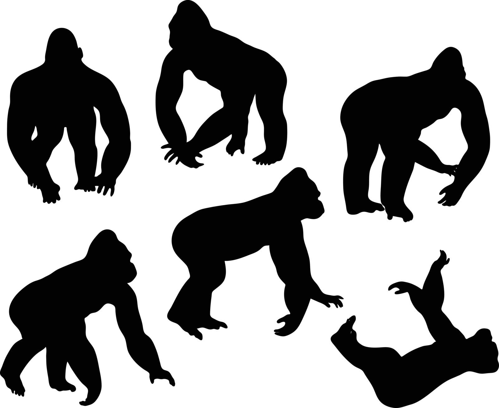 Vector Image - gorilla silhouette, isolated on white background
