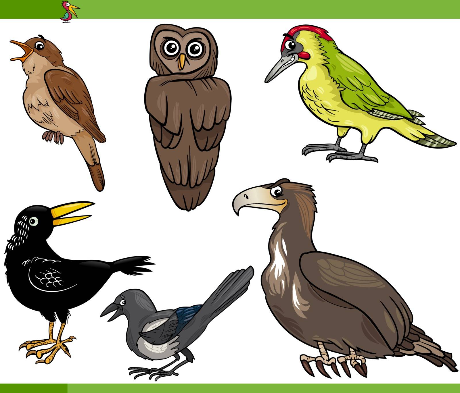 Cartoon Illustration of Funny Birds Set
