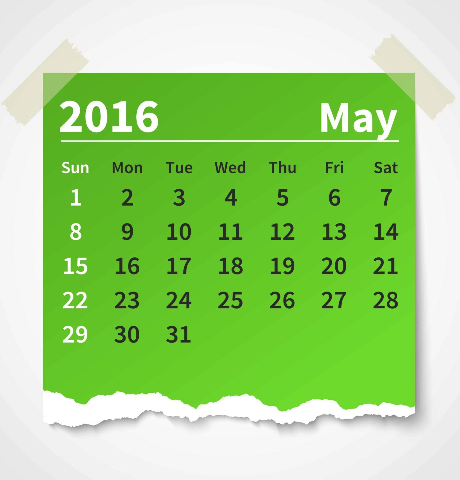 Calendar may 2016 colorful torn paper. Vector illustration