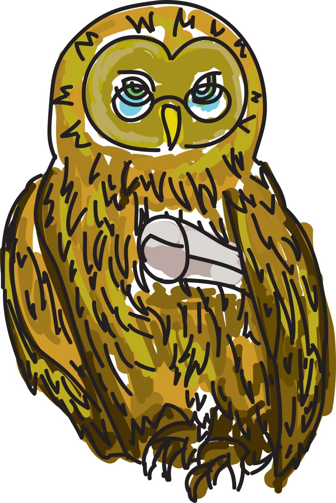 Drawn owl with diploma by cherezoff