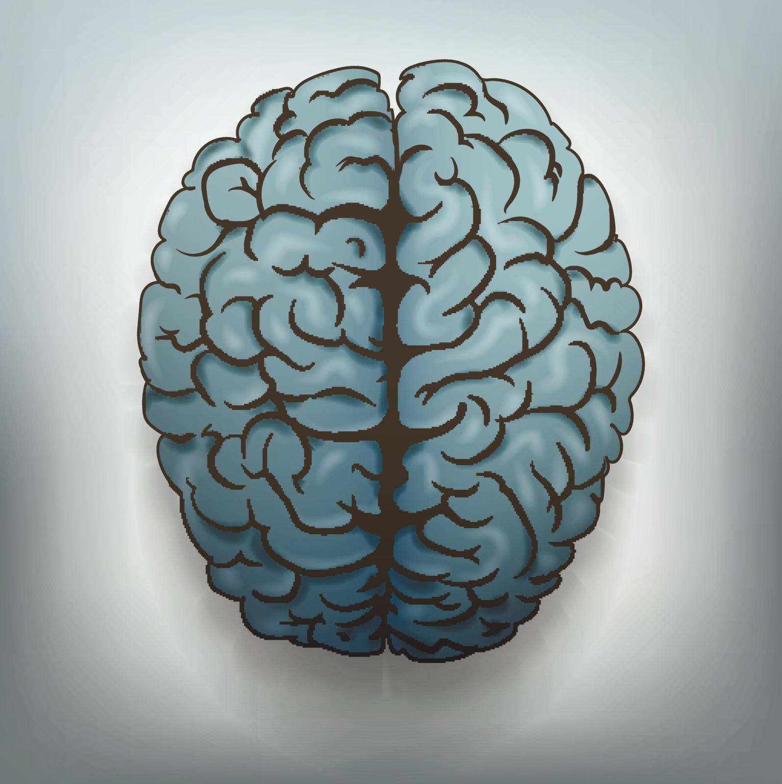 Vector illustration of the human brain.