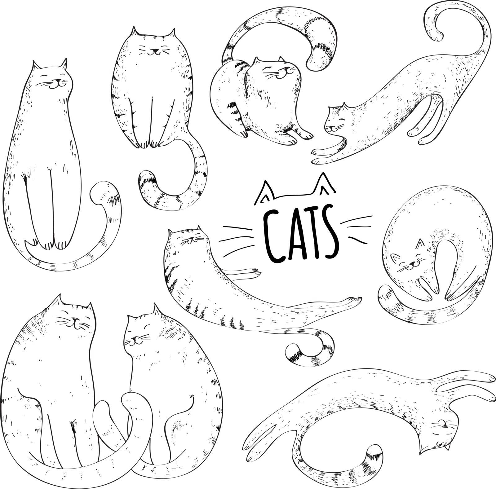 Cats collection. Set of hand drawn cute cats