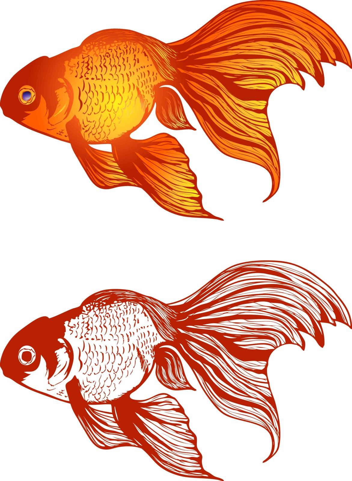 Illustration of Gold Fish Variations Over White Background