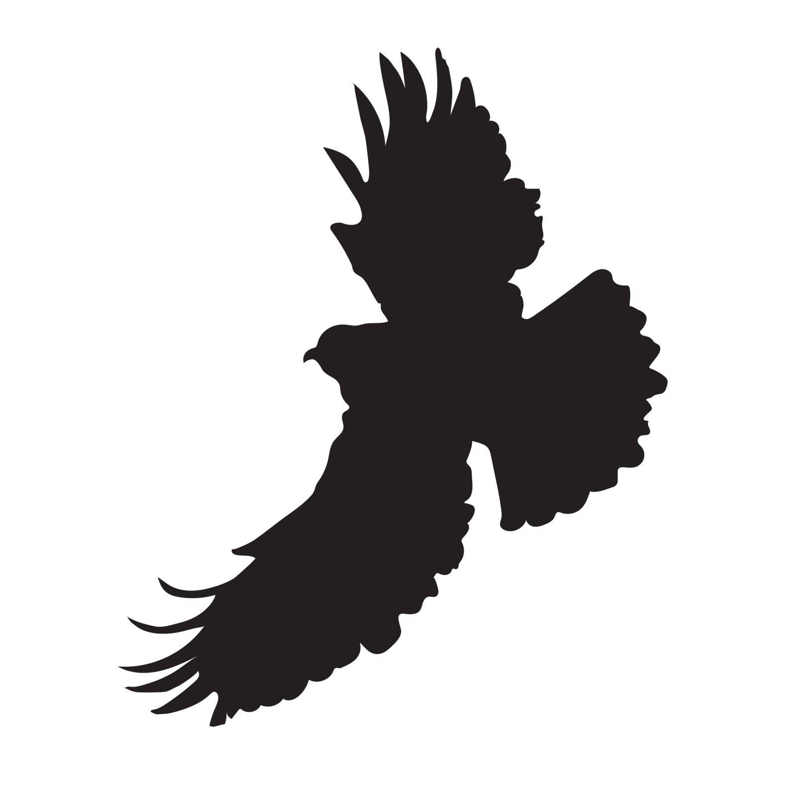 A silhouette of an eagle or hawk in mid flight