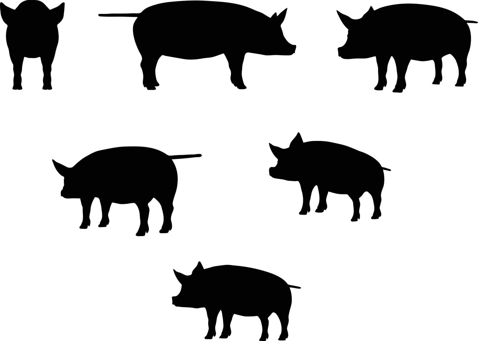 Vector Image, pig silhouette, in a standing position, isolated on white background
