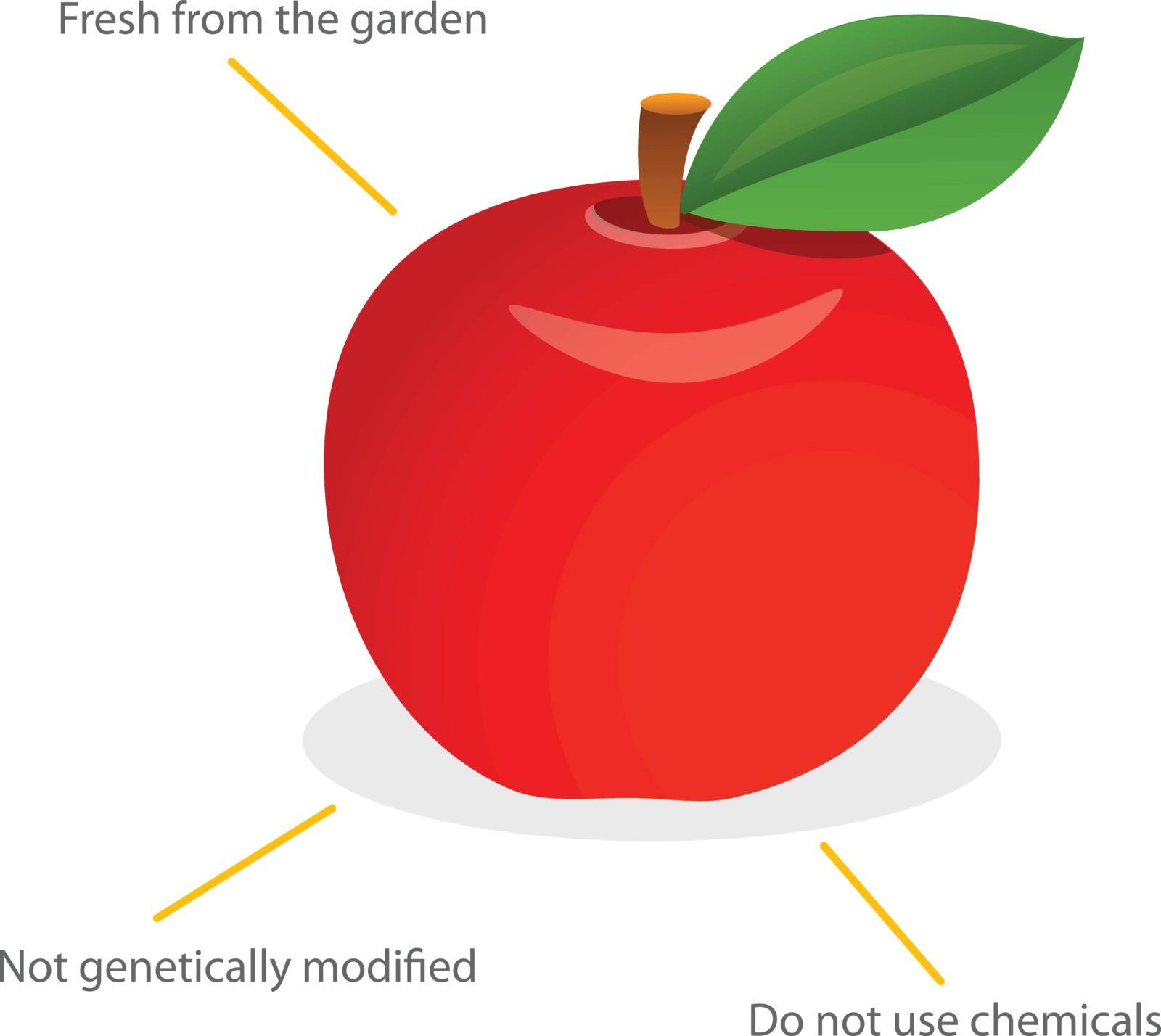 Red Apple with leaf.Vector Illustration. Apple, fresh safety.