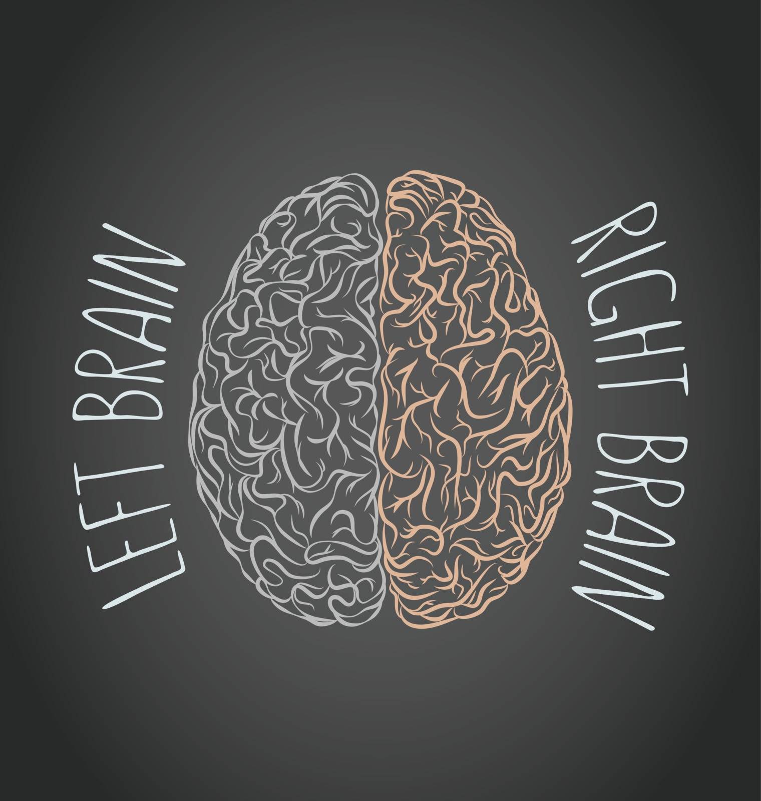 Brain left and right by Portokalis