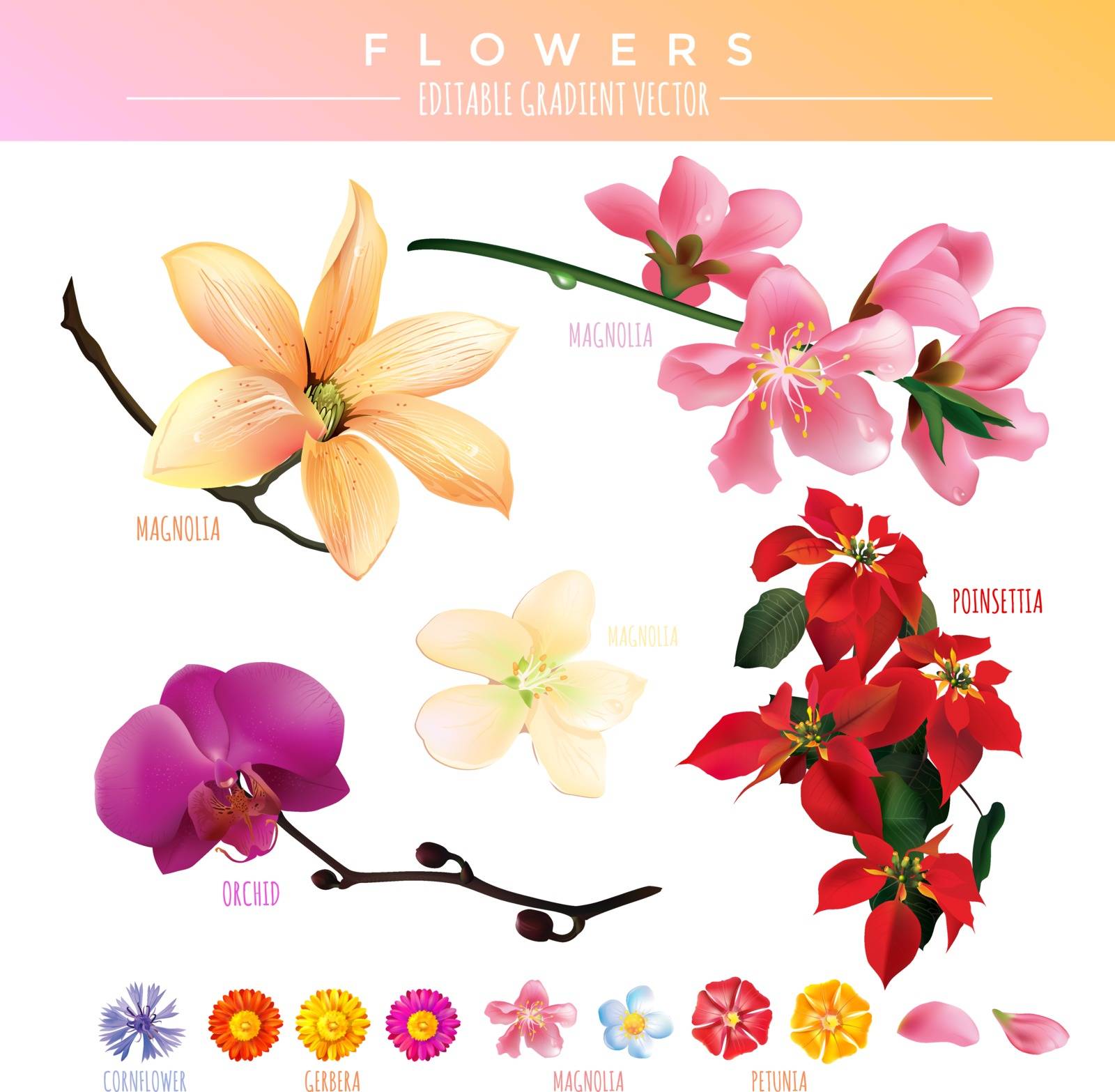 Flowers mesh gradient vector illustration on a white background.