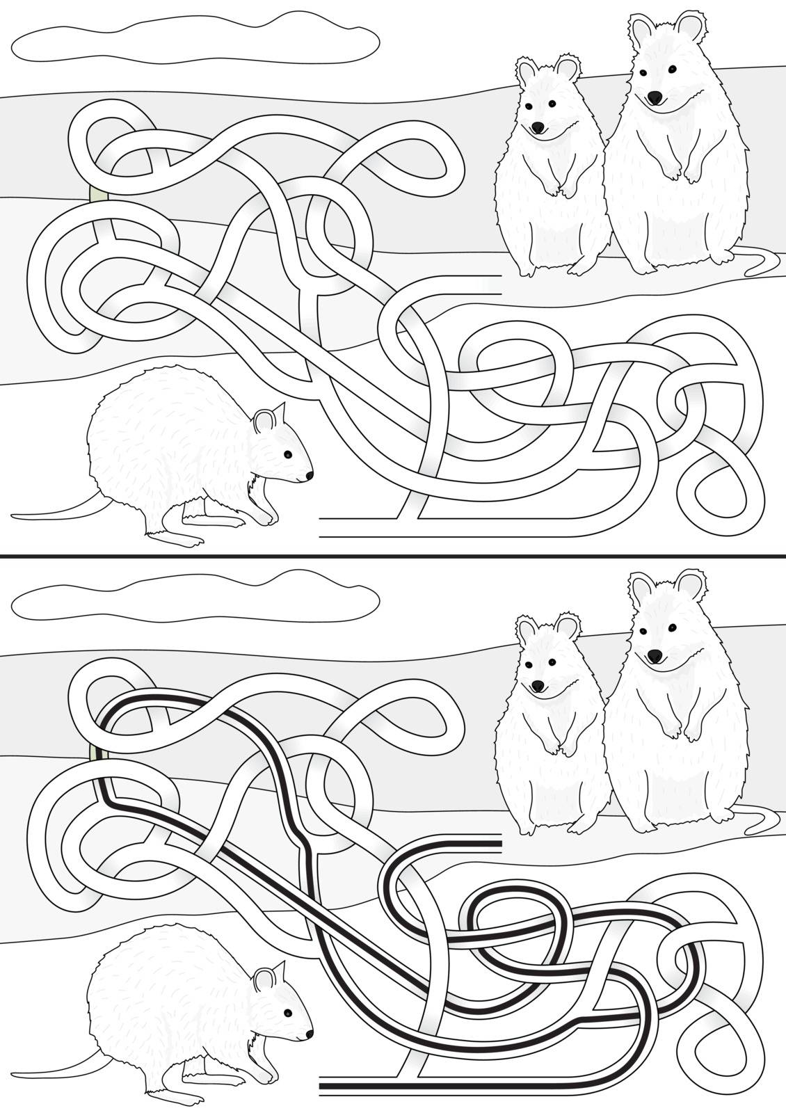 Quokka maze for kids with a solution in black and white