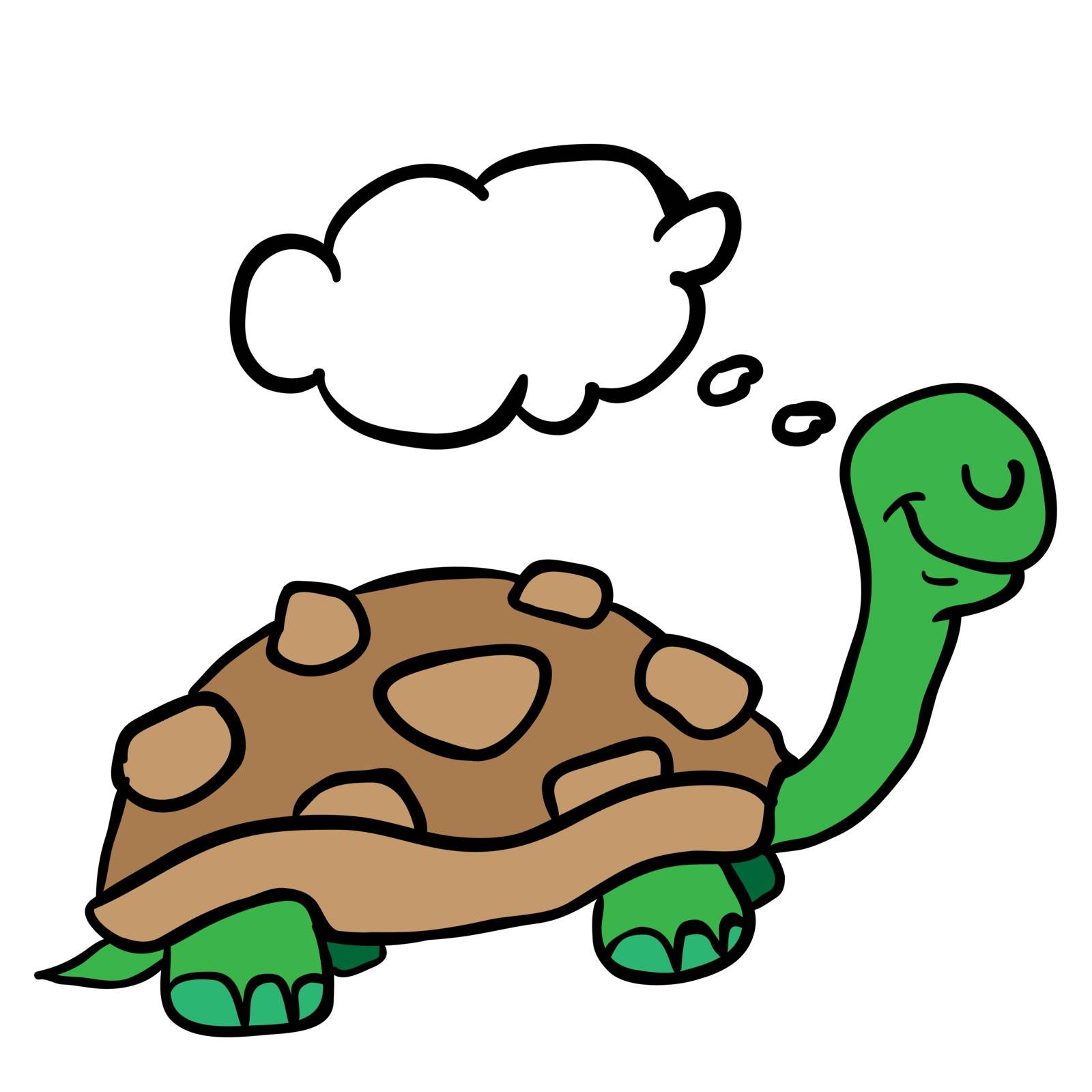 turtle cartoon illustration