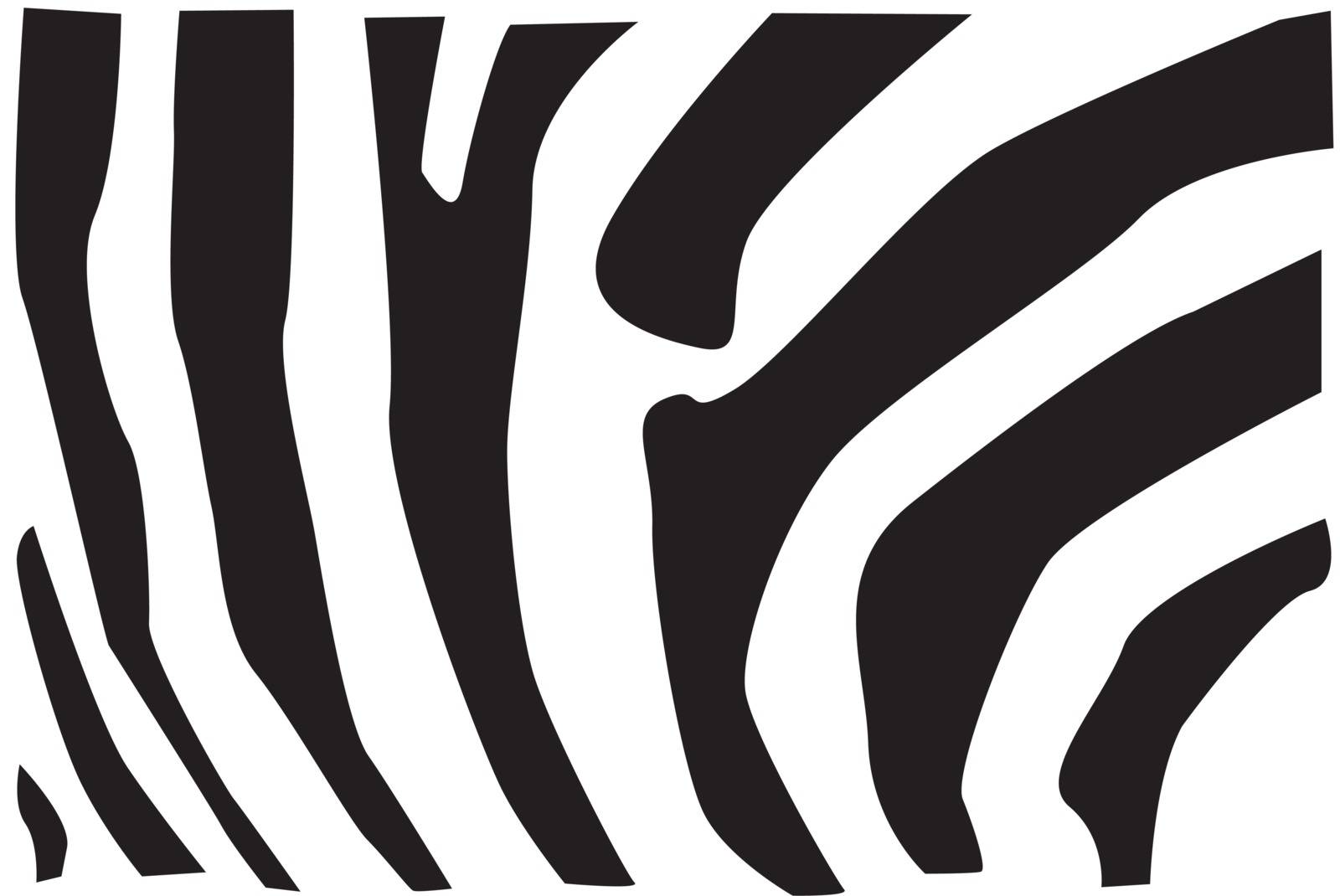 Detail vector illustration of zebra fur pattern.