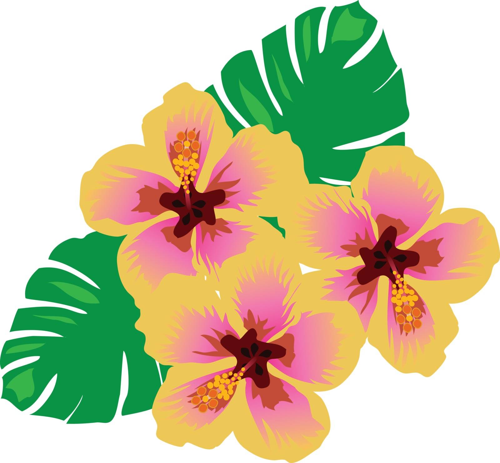 vector illustration of tropical flowers