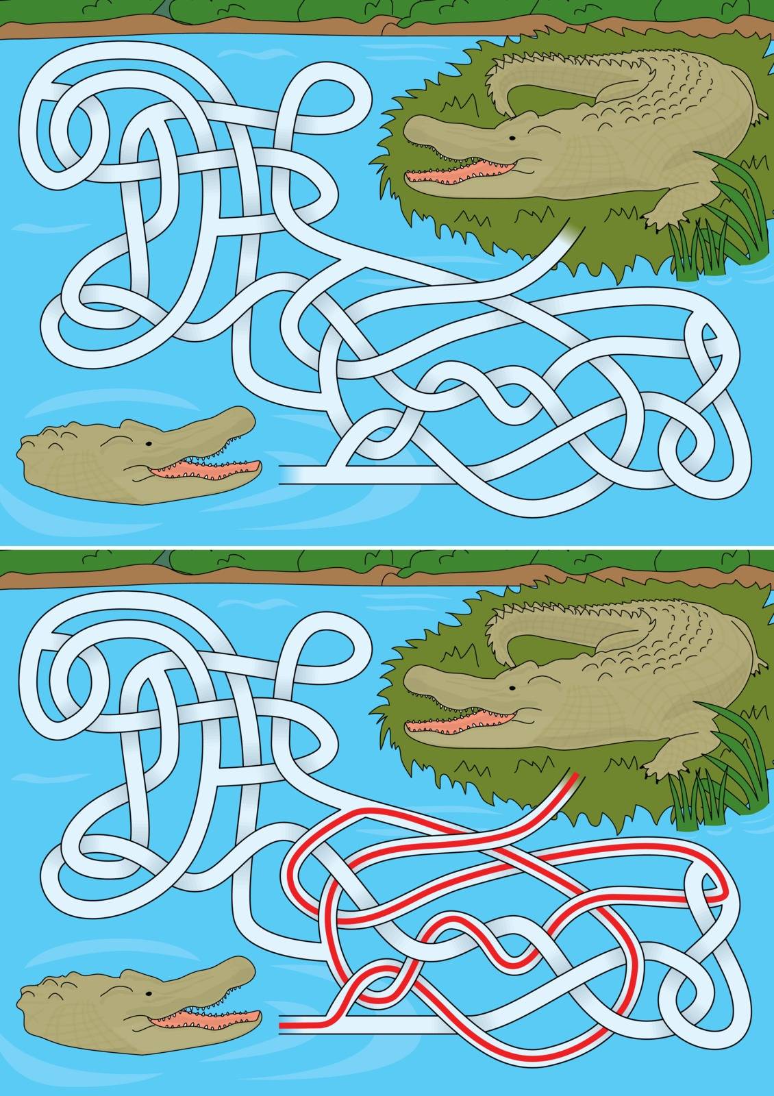 Crocodile maze for kids with a solution