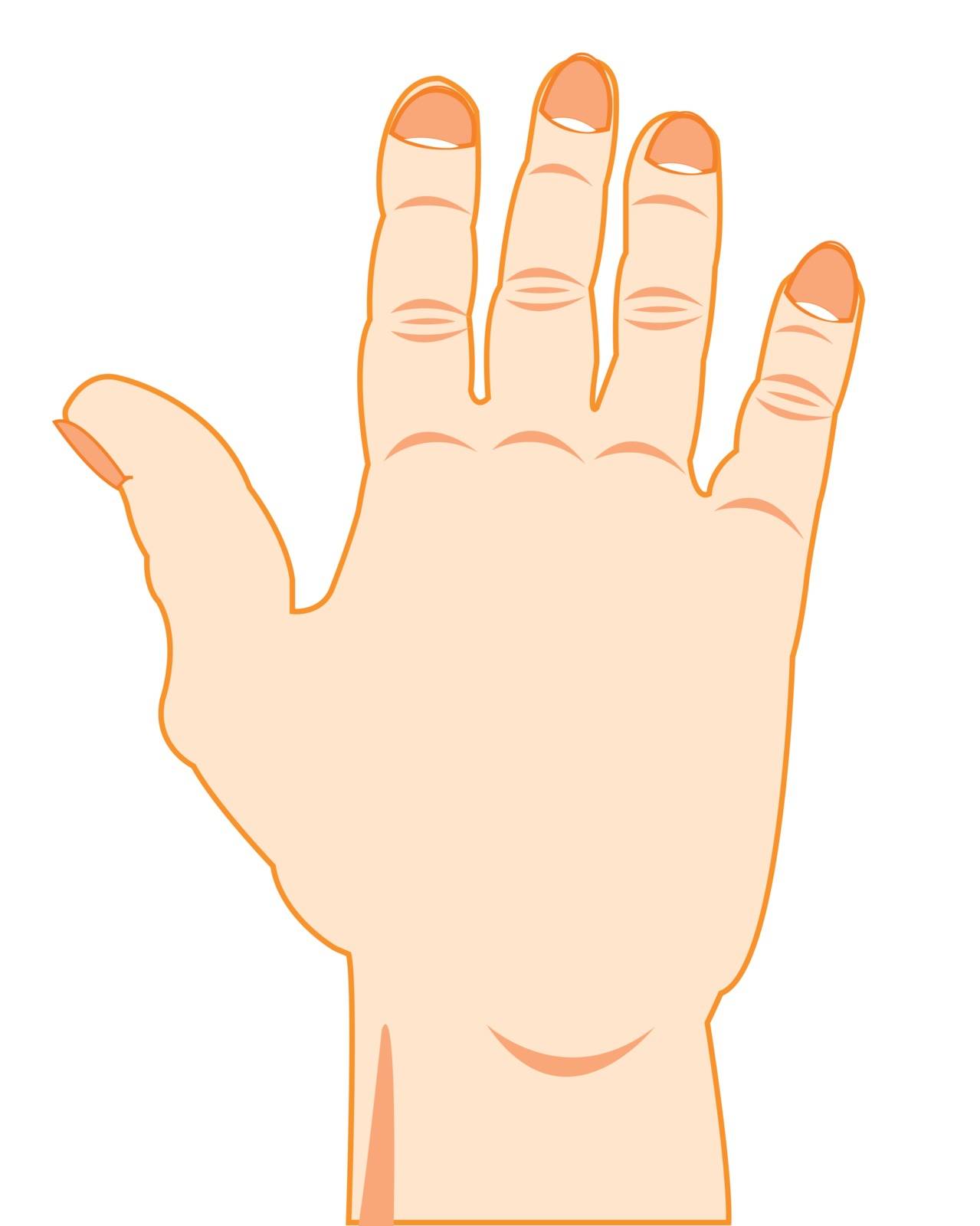 The Hand of the person and finger with nail.Vector illustration