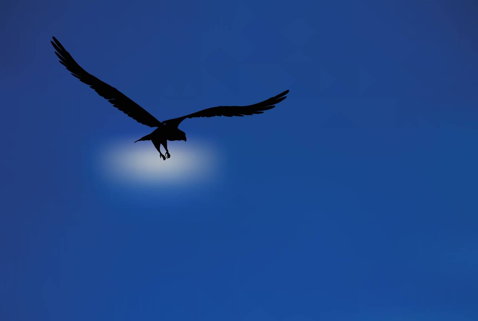 eagle silhouette by Istanbul2009