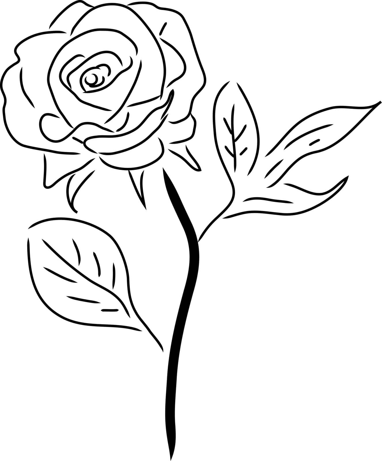 Red Rose isolated on white, vector illustration.
