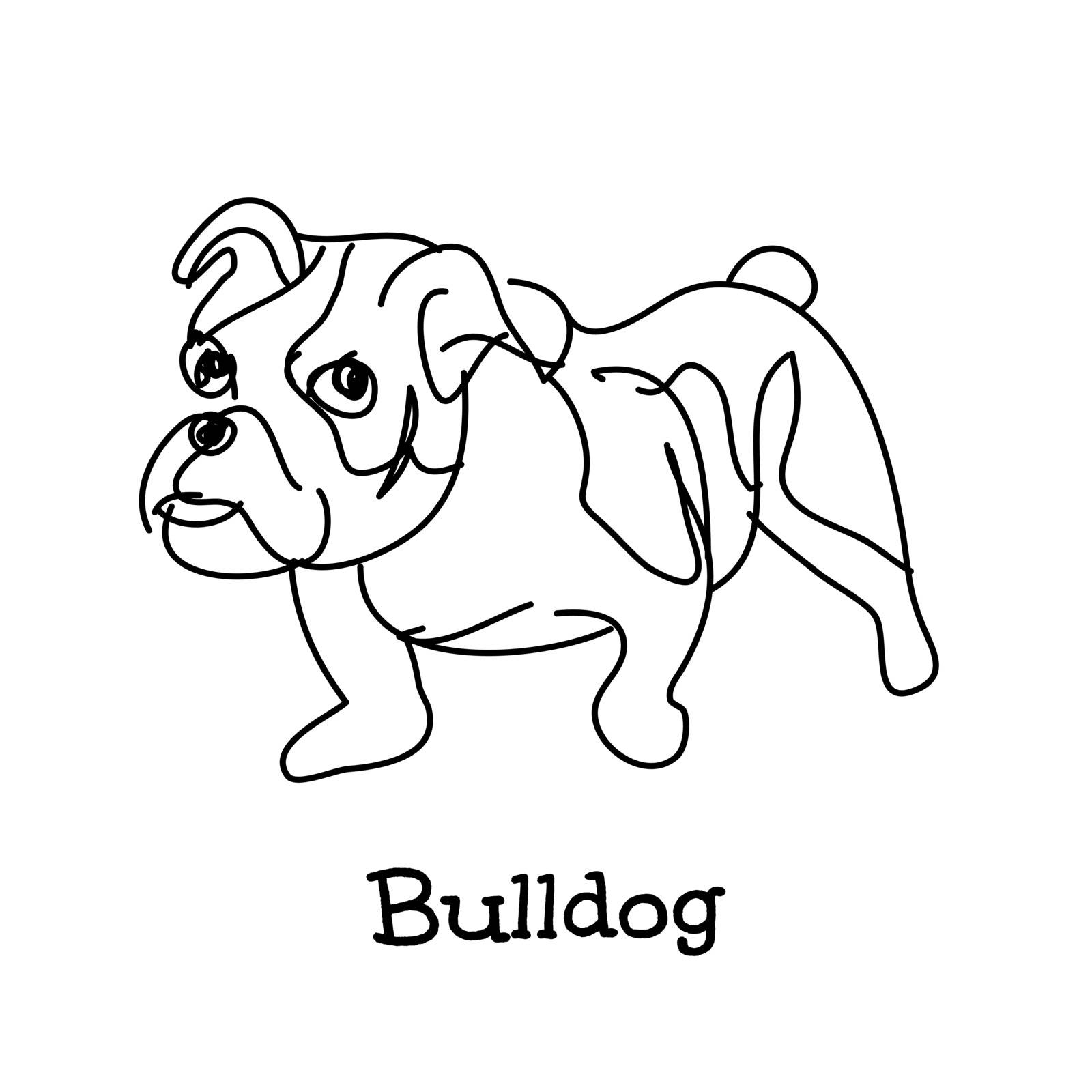 Doodle drawing of young bulldog on white background