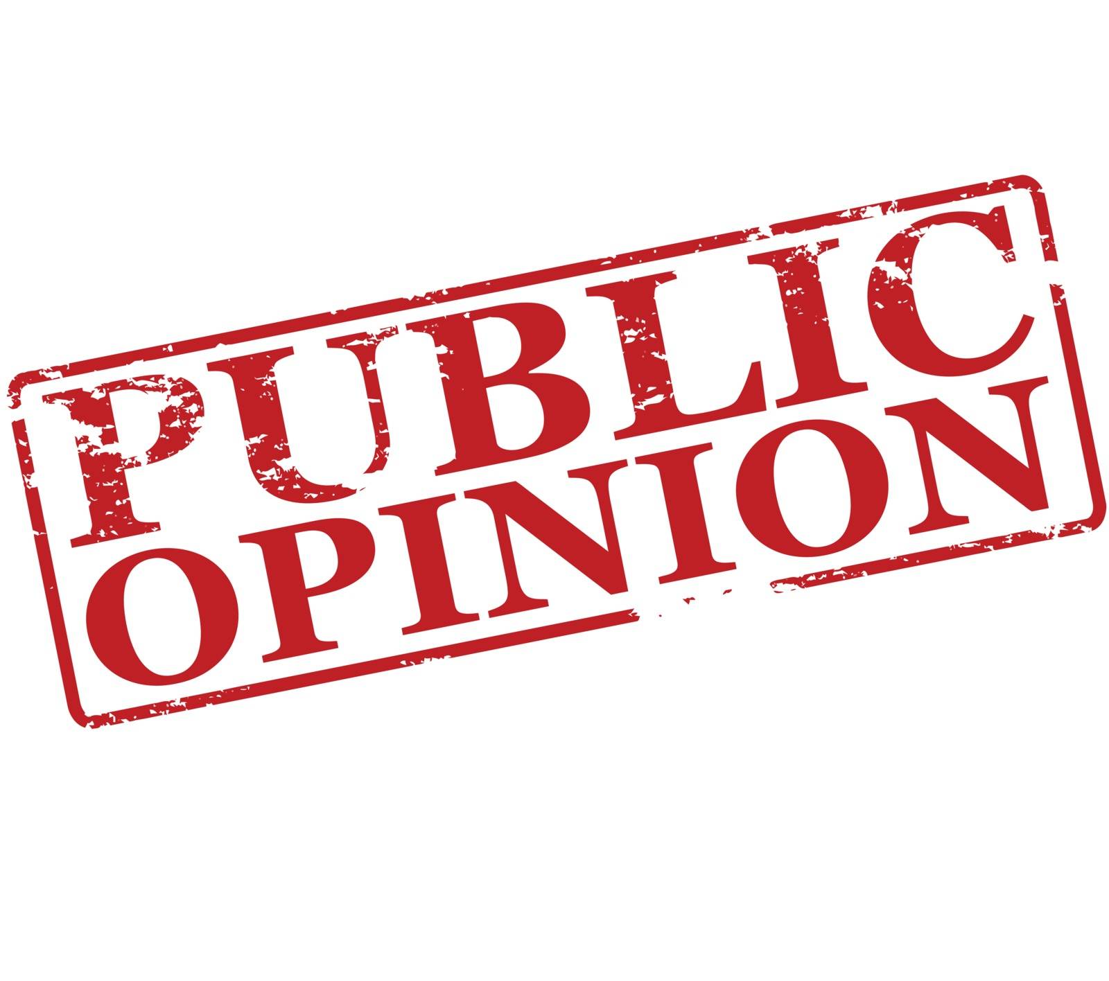 Public opinion by carmenbobo