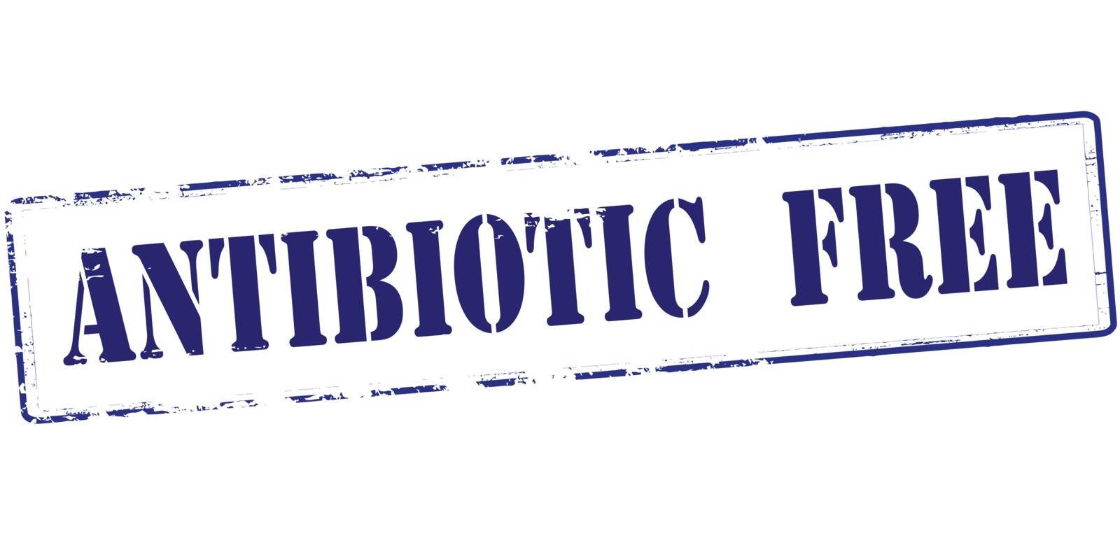 Antibiotic free by carmenbobo