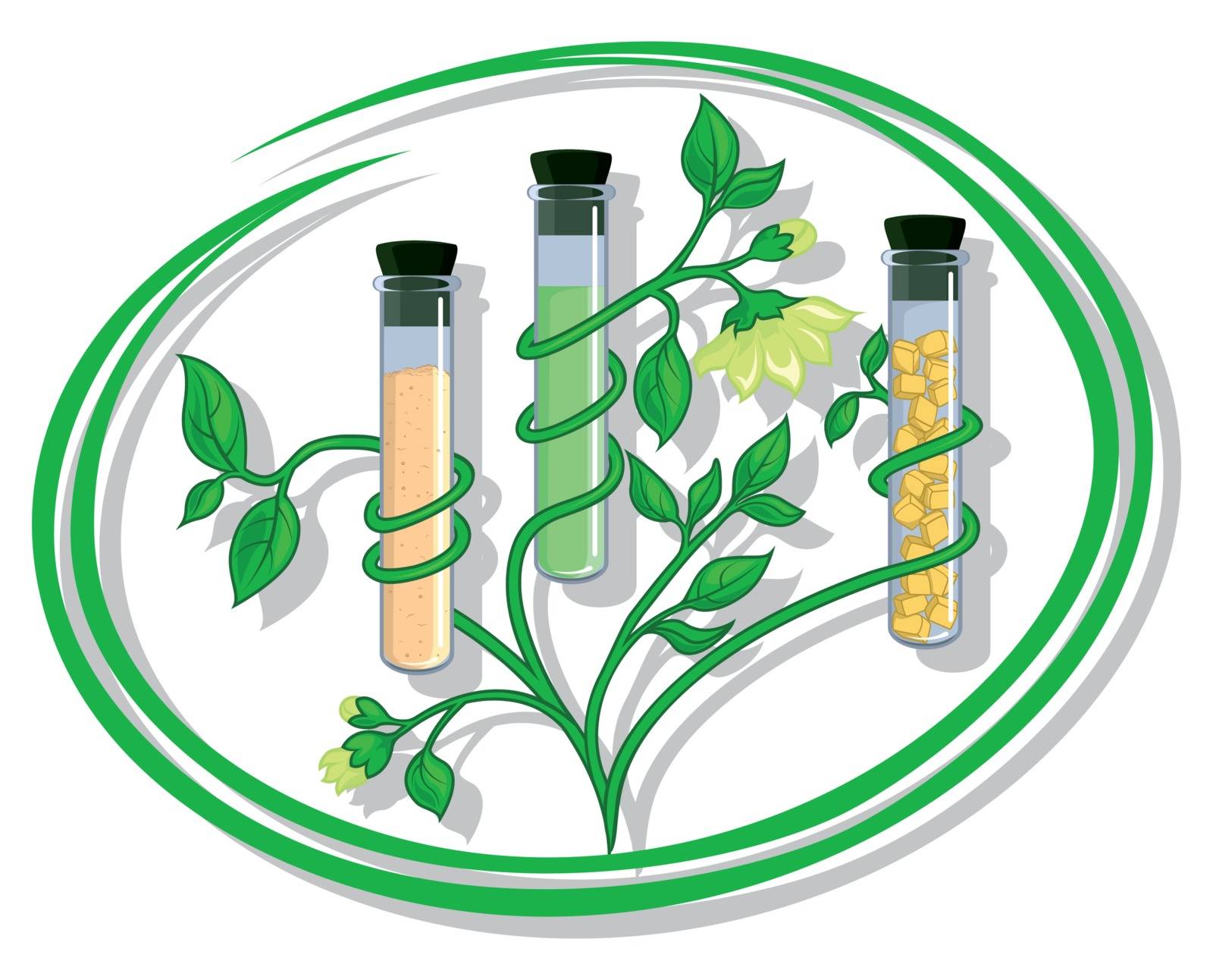 Conceptual illustration depicting the test tube with natural ingredients such as extract, floral wax and herbal powder on the white background