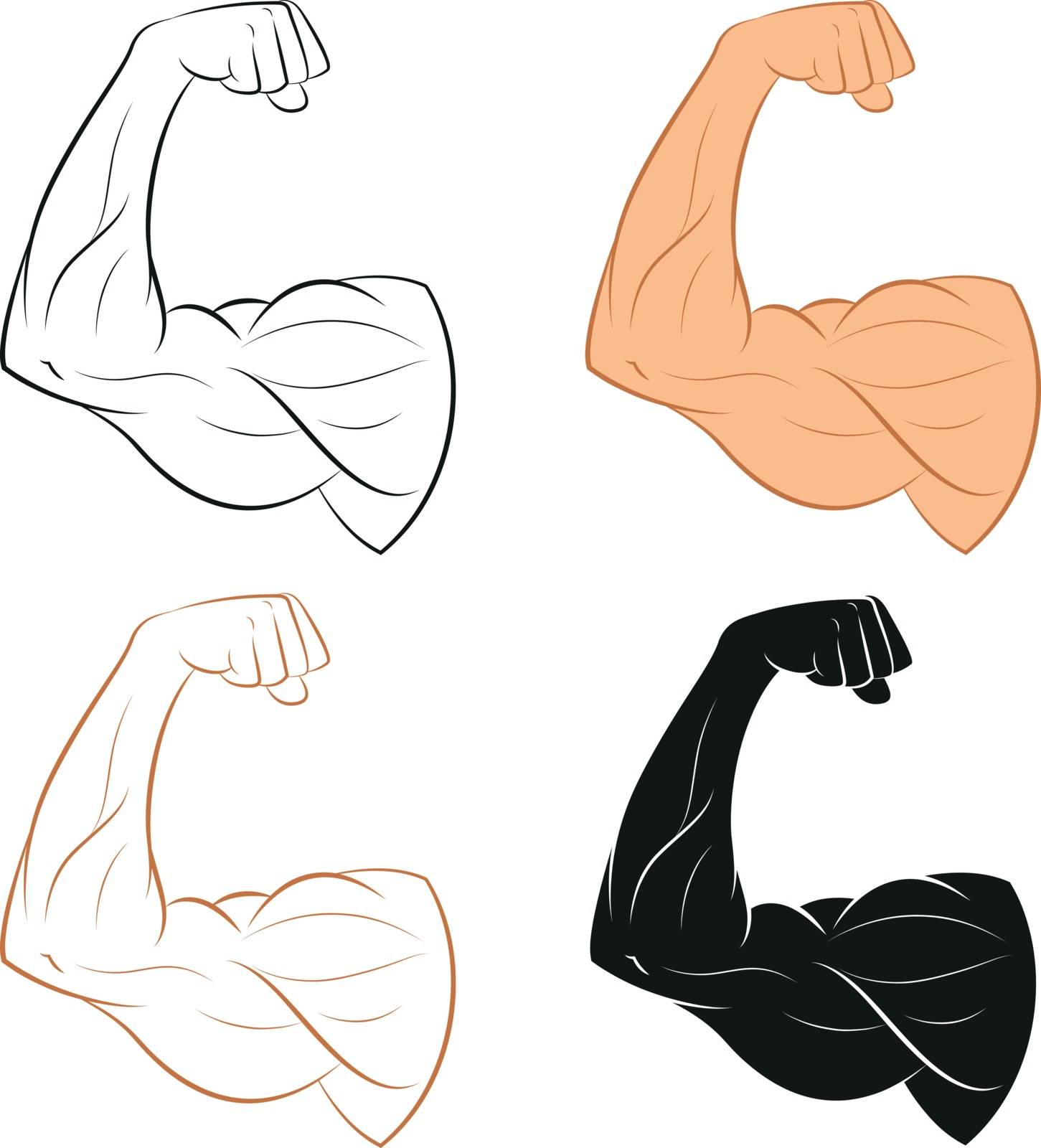 Vector image of  set of muscle arms