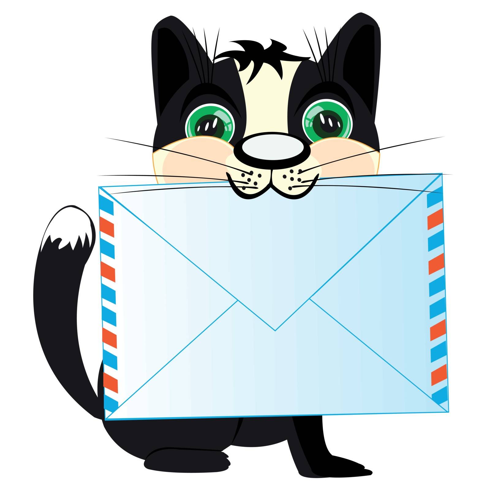 Pets cat with envelope in teeth on white background is insulated