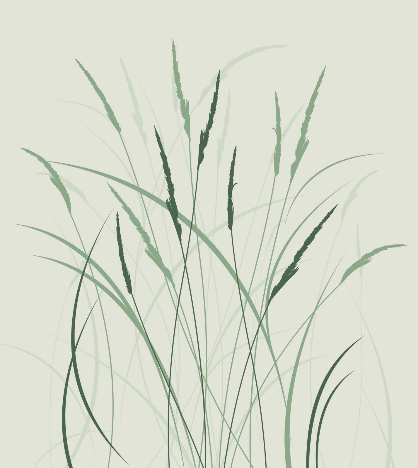Vector illustration grass in a meadow, natural landscape background