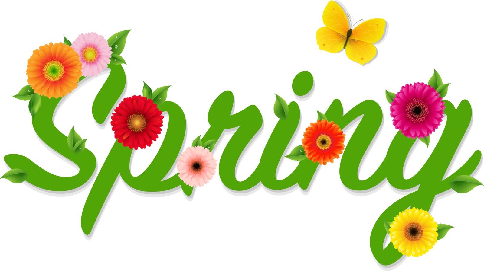 Spring Text With Gradient Mesh, Vector Illustration