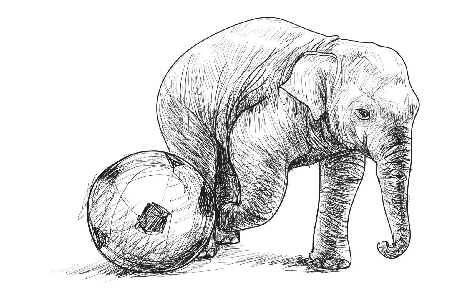 elephant playing football, sketch free hand draw illustration by arnontphoto