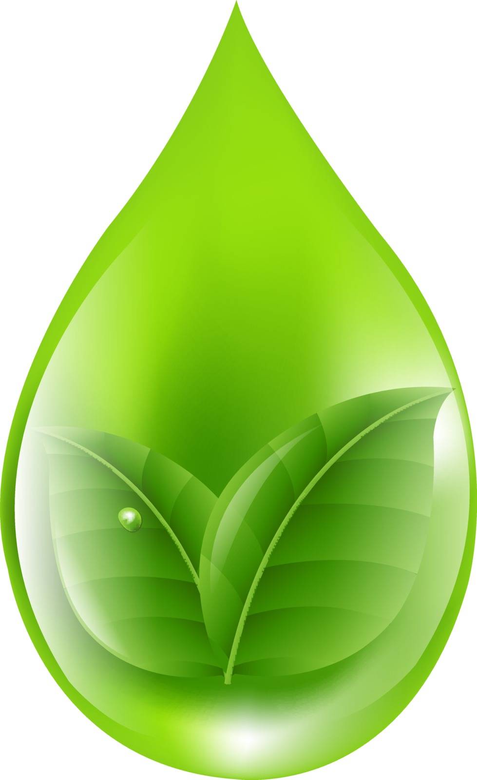 Green Drop With Gradient Mesh, Vector Illustration