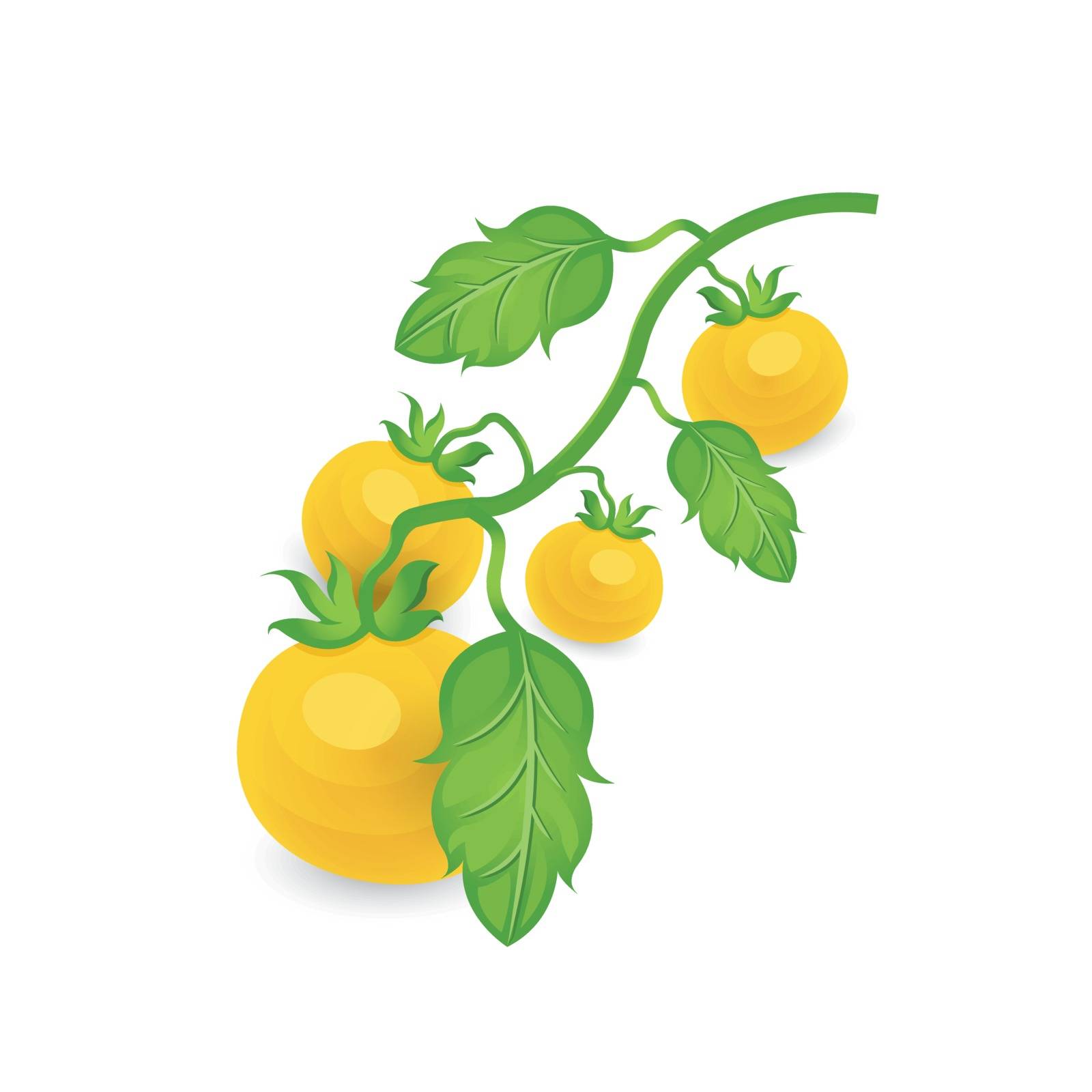limb Tomato Yellow Color icon
