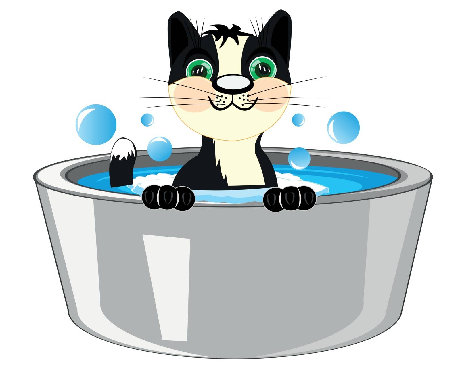 Black cat in capacities with water is washed