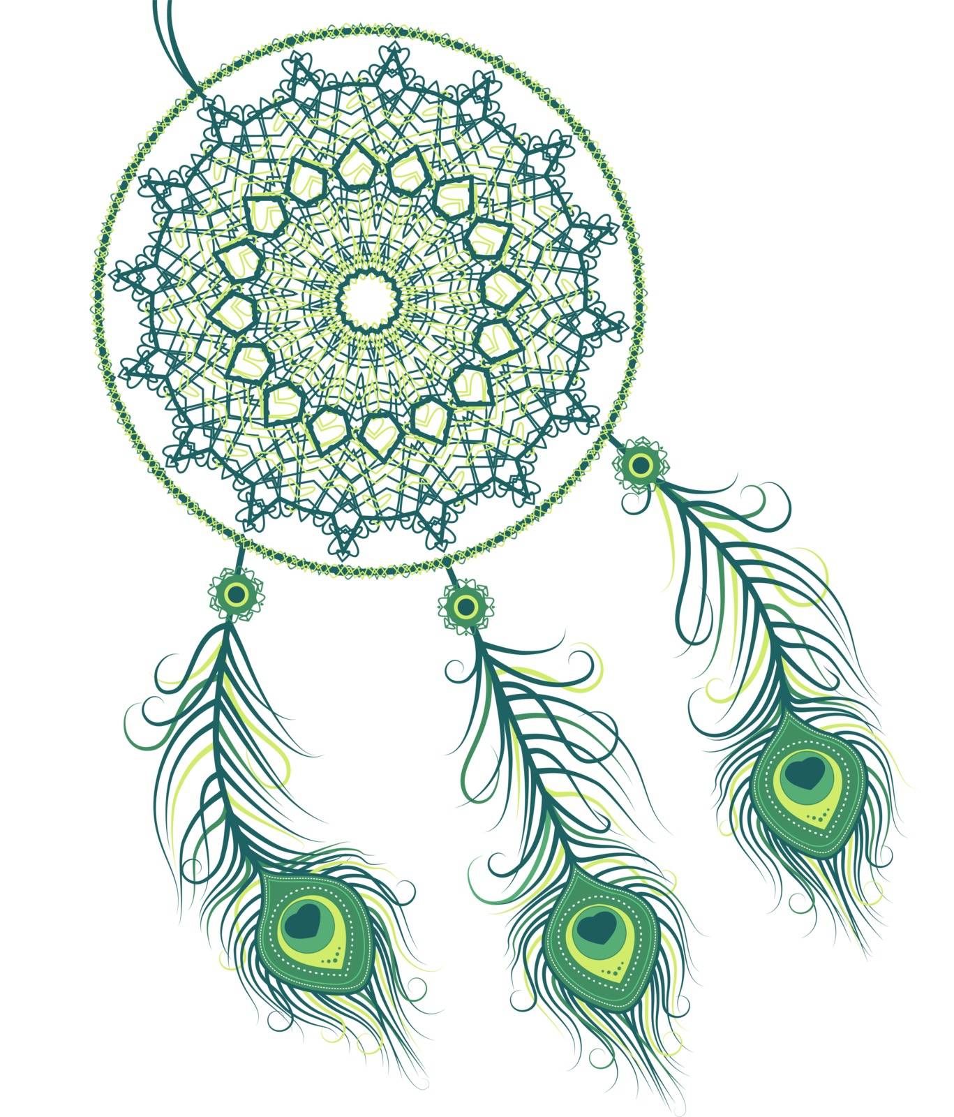Vector illustration of a dreamcatcher with a peacock feathers on a white background