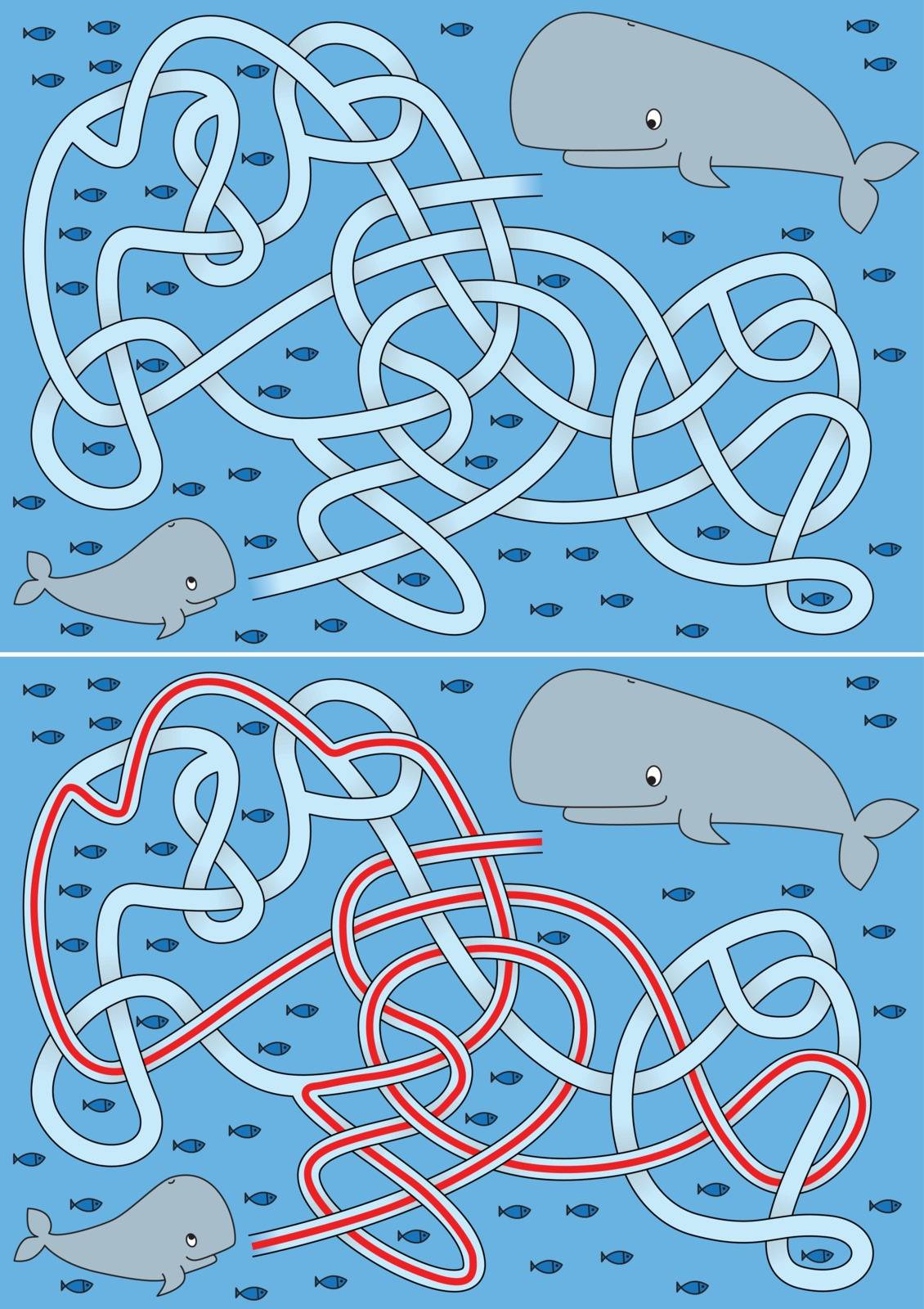Whale maze for kids with a solution