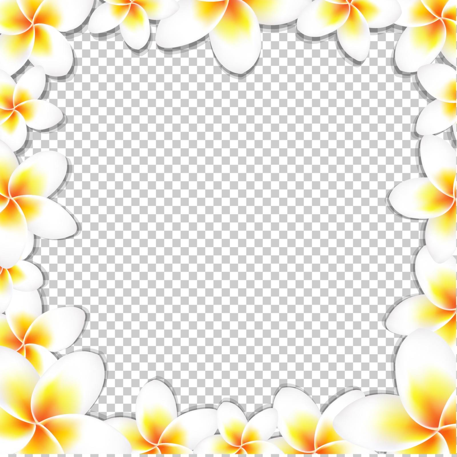 Frangipani FrameWith Gradient Mesh, Isolated on Transparent Background, Vector Illustration