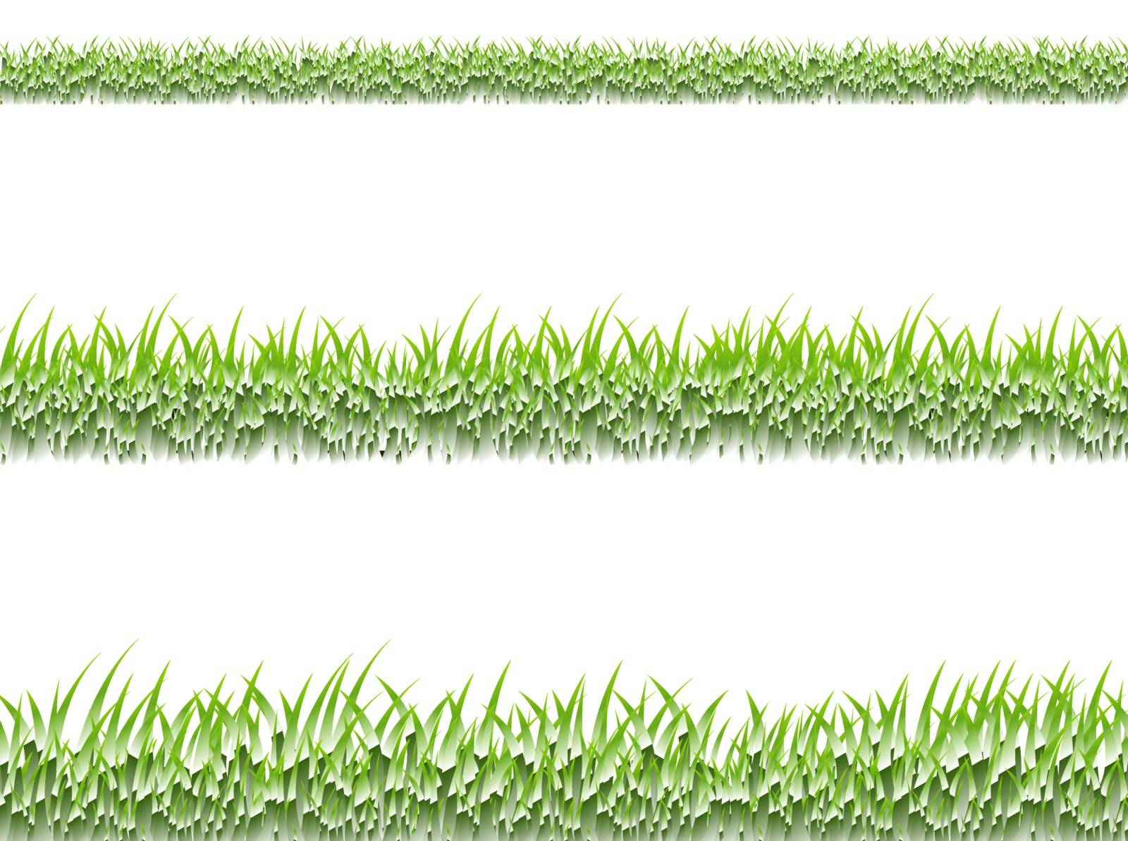 Grass Border, Vector Illustration