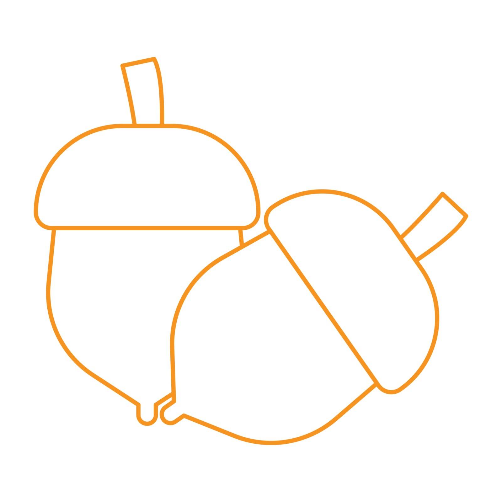 Simple thin line acorn icon vector