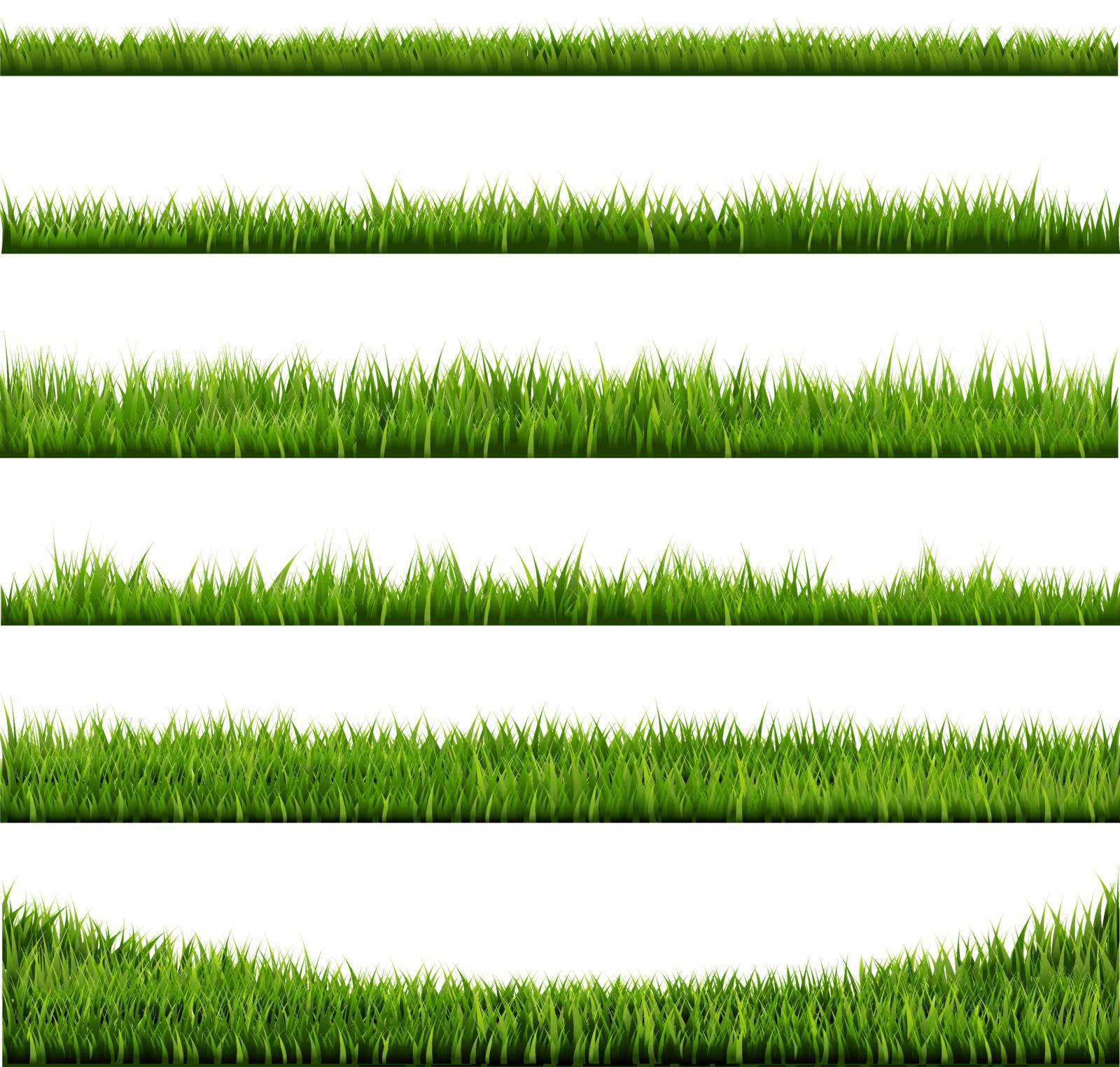 Grass Frame , Vector Illustration