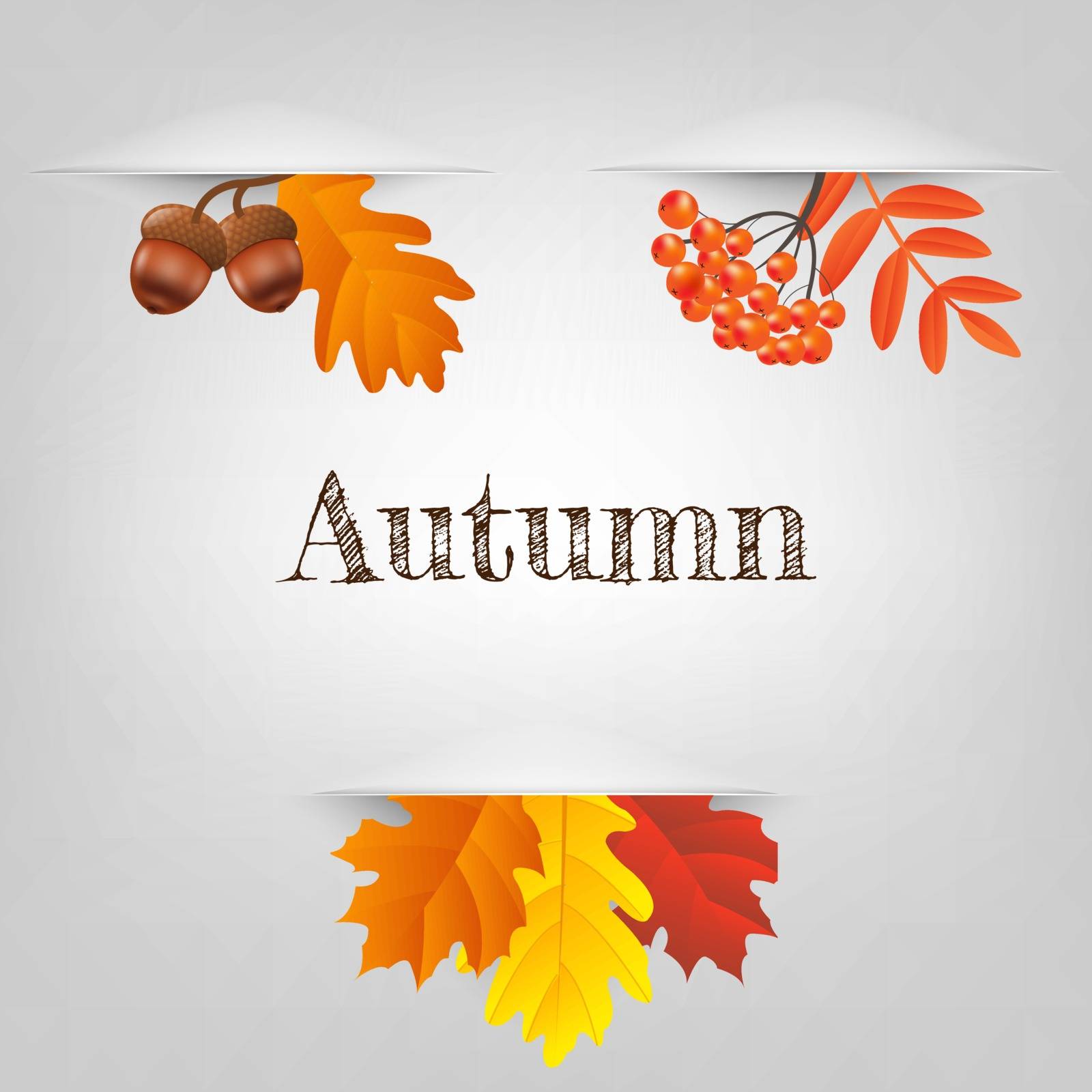 Autumn Collection Gradient Mesh, Vector Illustration