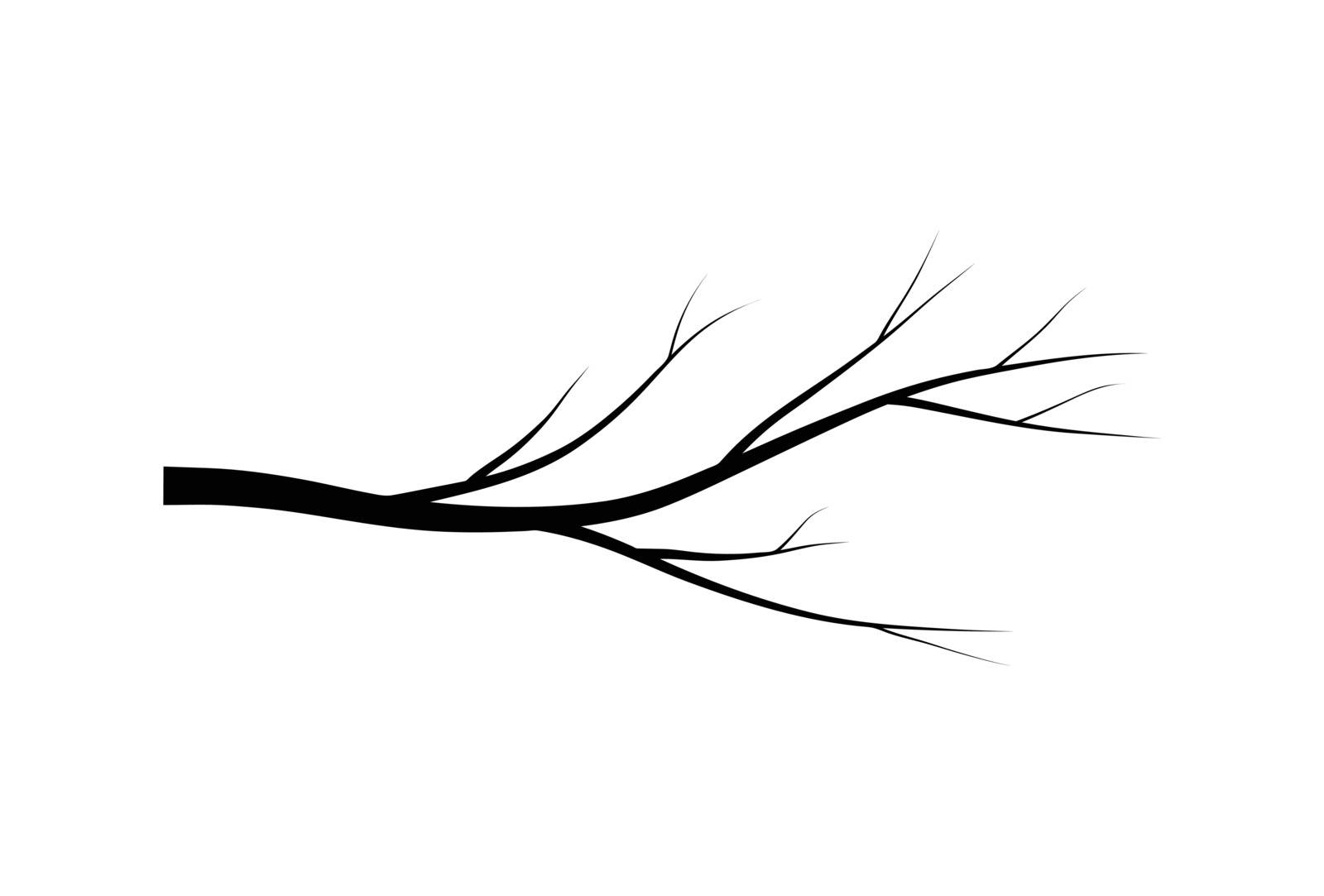 bare branch tree silhouette vector symbol icon design. Beautiful illustration isolated on white background by wektorygrafika