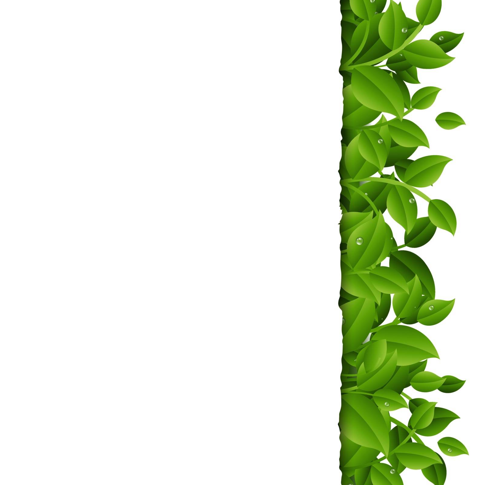 Green Branches With Leaves Border With Gradient Mesh, Vector Illustration