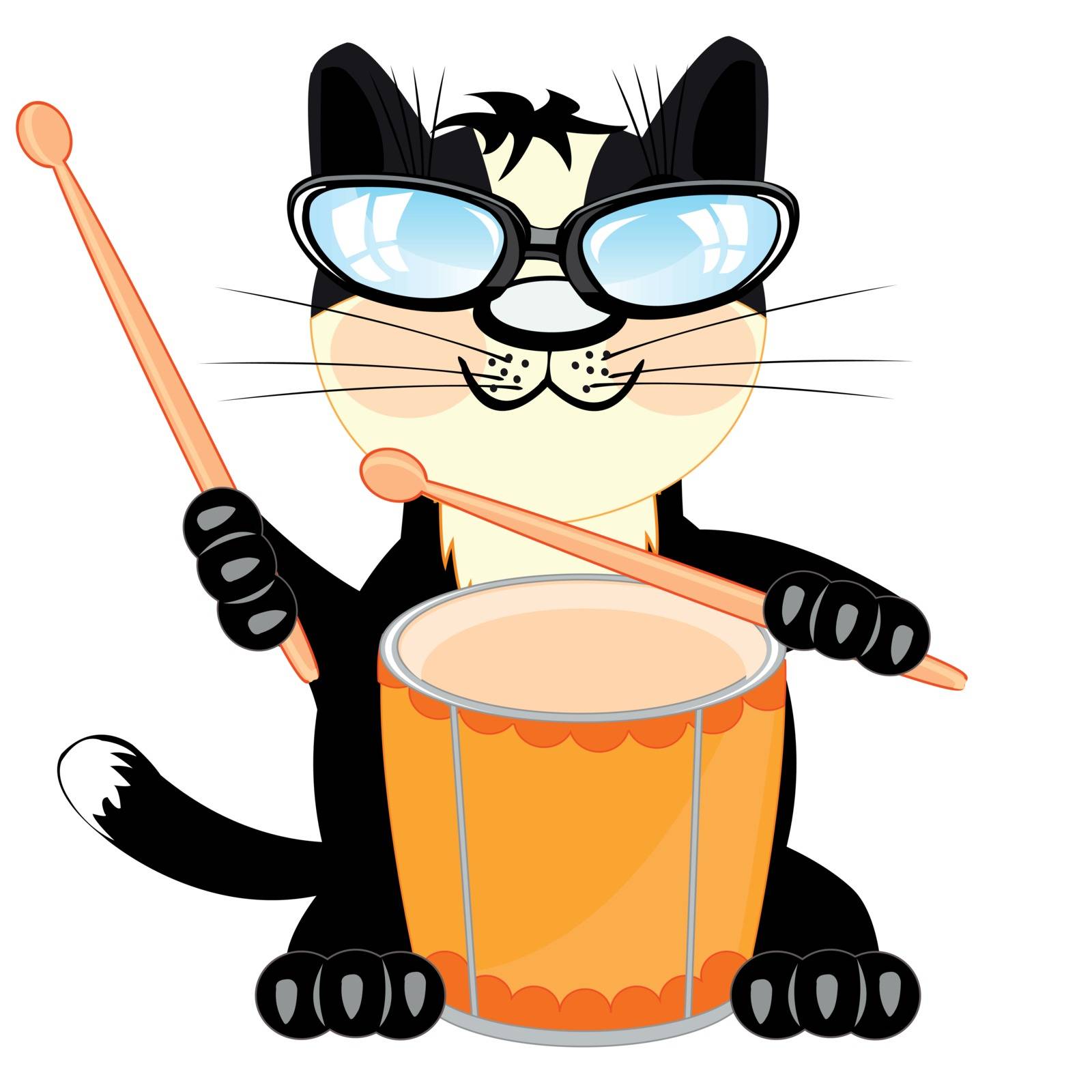 Pets black cat plays on music instrument drum