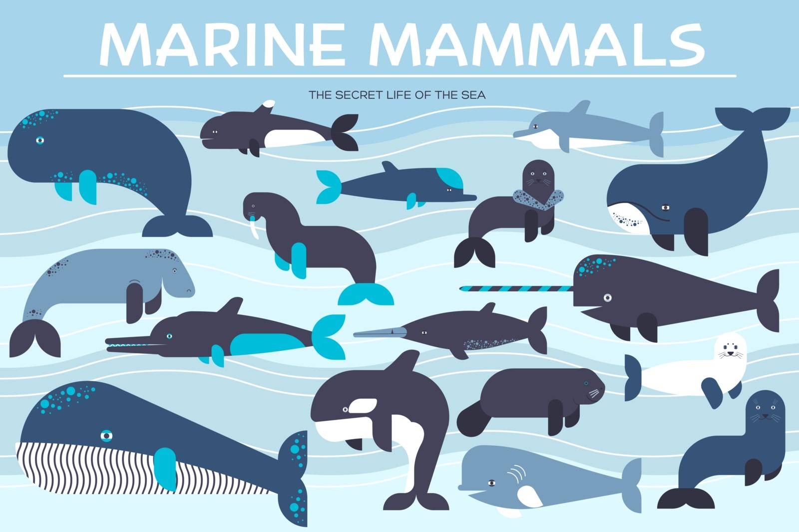 Sea mammals animal collection icons set. Vector fish illustration in ocean life background. Marine exotic creature flat