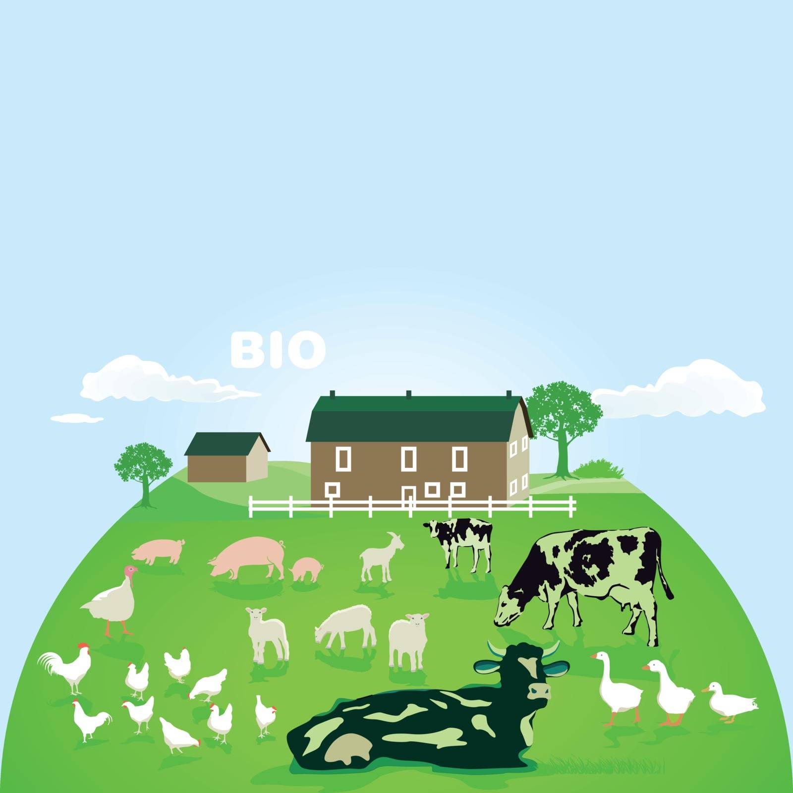 Organic farm with pasture